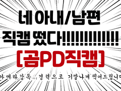 [곰PD직캠] 1인 오마카세 커미션