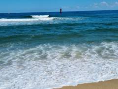 비정형면역체계