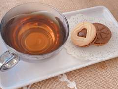 티포르테 윈터콜렉션: 스윗 오렌지 스파이스