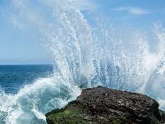 물보라, 흰/이도은