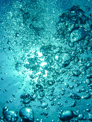 해수벽린(海水碧鱗)