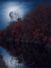 夏圇天喜하륜천희