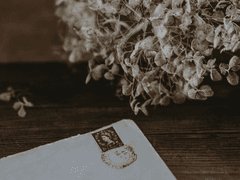 퀼: 지금은 여행 중 (윤)