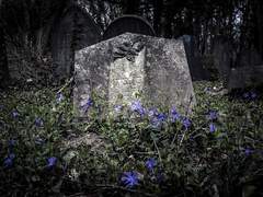 [드림] 상실에 관하여