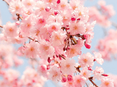 친애하는 저의 ■에게.