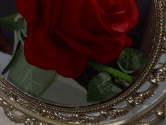 장미빛 왈츠 - 피와 장미의 상관관계