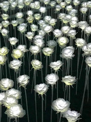 주술회전 네임리스 드림 썰 백업