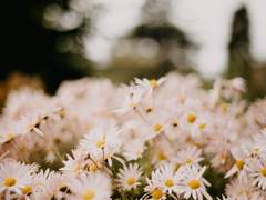 성화경찰서 익명게시판 - 1