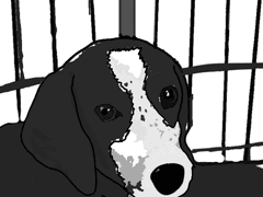 Laboratory animal 3화