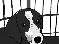 Laboratory animal 7화