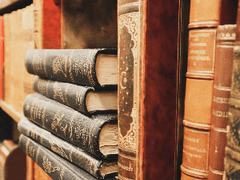 반자들! 일로와바!