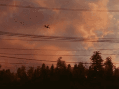 [MCU] 진홍빛의 망각 1화