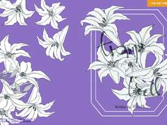 [우시오이]트롱프뢰유