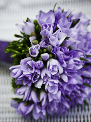 도시와 연결된 어느-..