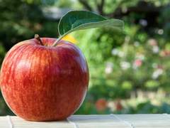 뜨거워야 한다/이도은