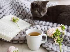 차 리뷰 인덱스