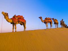 다른 세계에서도/이도은