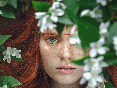 로맨스는 다른 곳에서