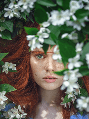 로맨스는 다른 곳에서