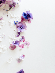 대신 황제의 눈이 되기로 했습니다