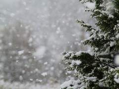 종착역 따위는 없었다. 上