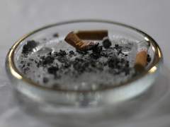 [뭉꿀] 니코틴과 알코올의 상관관계