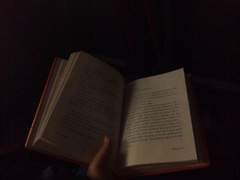 내가 살았던 곳에는 내가 없었다