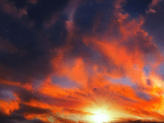 난 이 결혼 반대야. (上)