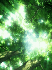 갈림길은 어느 쪽이든 푸르다 / 인생은 마라톤