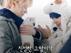 [숨세] 진정한 고양이가 될 수 없어 #1. 야옹아