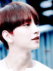 기타 푸슝 자필