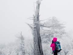 그대가 보고 싶습니다/이상진