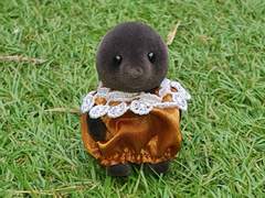 버드나무에 부는 바람