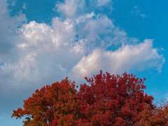 24. 행복했던 날들이었다