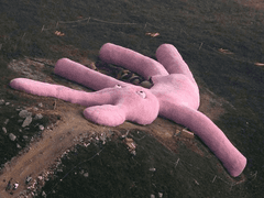 분홍 토끼의 울음소리가 분홍인 것