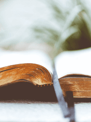 이야기를 만들어 가는자.