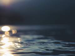 어둠 속 발하는 보라빛