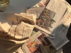 Dream- “1” setting