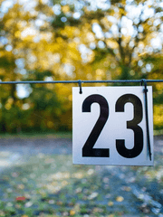 어쩌면 그럴지도