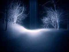 가막살나무 아래의 마녀 BGM 목록