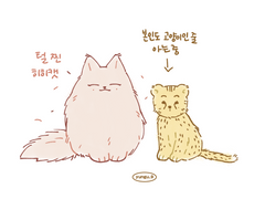 12/2~3 그림 정리