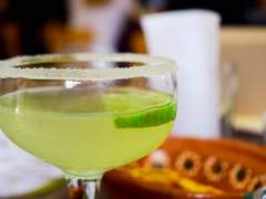 (닌자고) monking bird