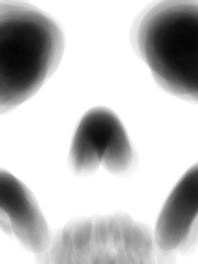 이 땅에 떨어져