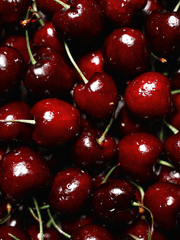 얼어붙은 체리가 녹을 때의 온도