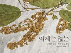 [주단청려] 이제는 없는
