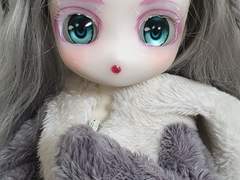 구관,물품 교판