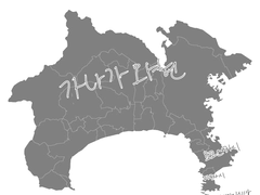 번데기를 찢은 나비는 날 수 있는가 #5