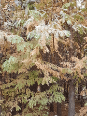 사실 계절상관없이 감성은 있는데_