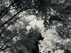 찬란한 죽음에 키스를 01