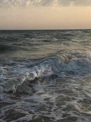 별거 없는 문장집